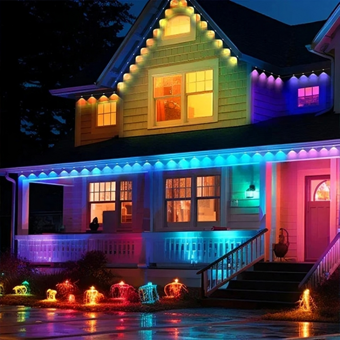 Vibrant LED Outdoor Light For Decor