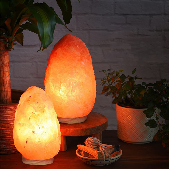 Himalayan Glow Salt Lamp