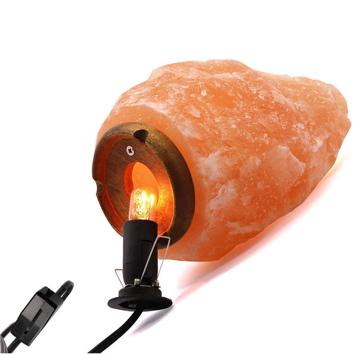 Himalayan Salt Lamp Cord with Gear Switch